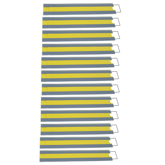 ASHLEY PRODUCTIONS Ashley Productions® Slide Reader Reading Guide, Set of 12