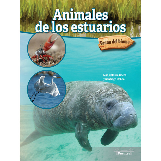 CARSON DELLOSA EDUCATION Bridges Animales de los estuarios Paperback