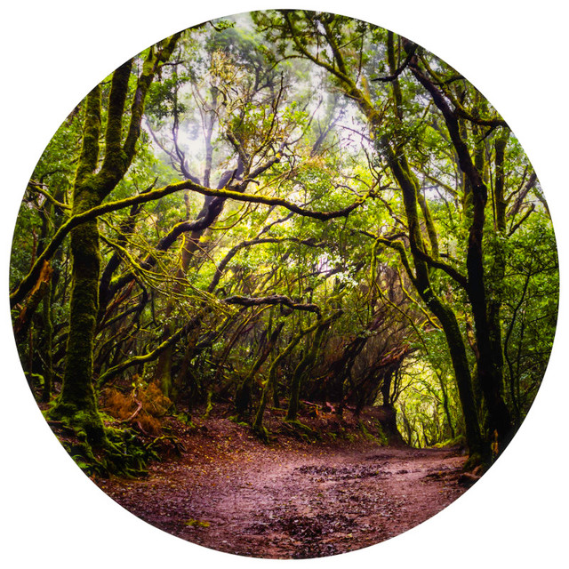 LEARNING ADVANTAGE TickiT® Forest Discovery Play Mat