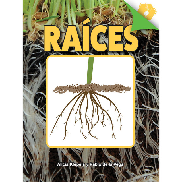 CARSON DELLOSA EDUCATION Discovery Library Raíces Book, Paperback