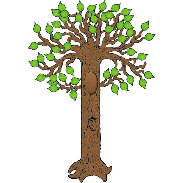 CARSON DELLOSA EDUCATION Carson Dellosa Education Big Tree Bulletin Board Set
