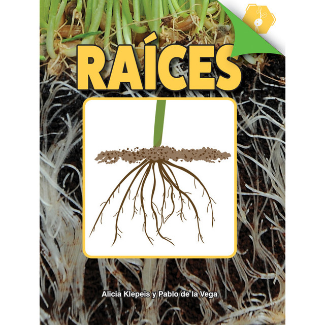 CARSON DELLOSA EDUCATION Discovery Library Raíces Book, Hardcover