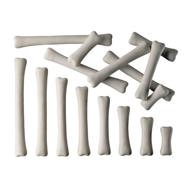 YELLOW DOOR US LLC Yellow Door Dinosaur Bones Match & Measure Set