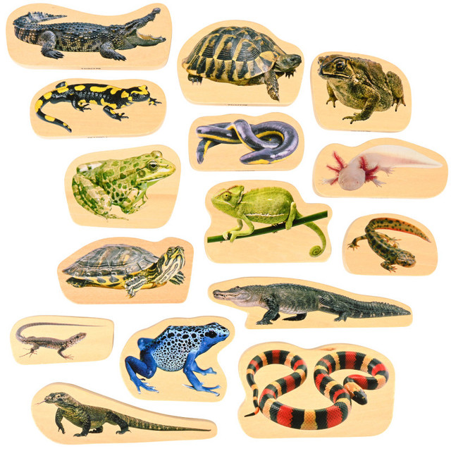 LEARNING ADVANTAGE TickiT® Wooden Reptile & Amphibian Blocks - Set of 15