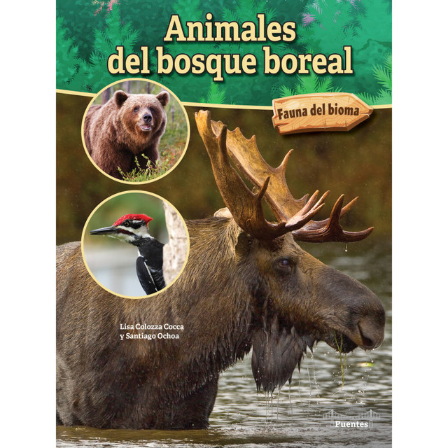 CARSON DELLOSA EDUCATION Bridges Animales del bosque boreal Paperback