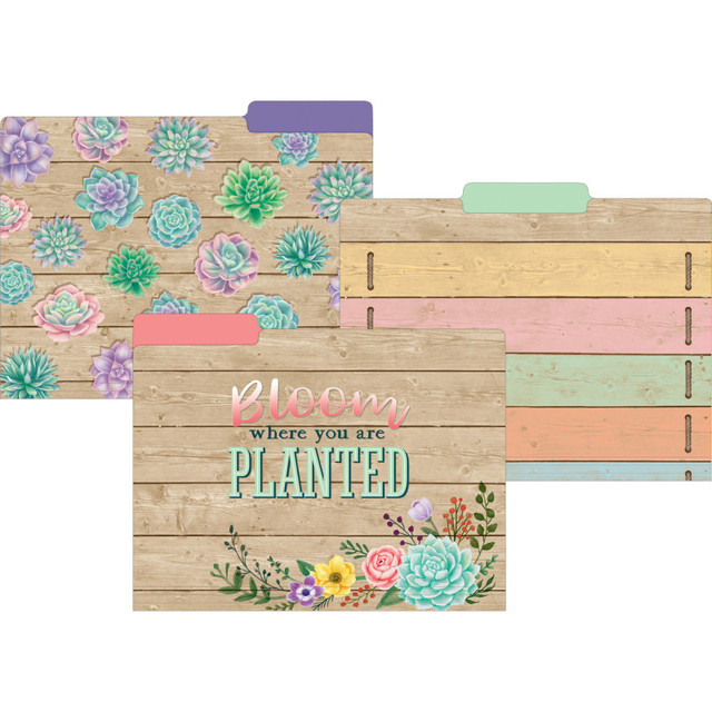 TEACHER CREATED RESOURCES Teacher Created Resources® Rustic Bloom File Folders, Pack of 12