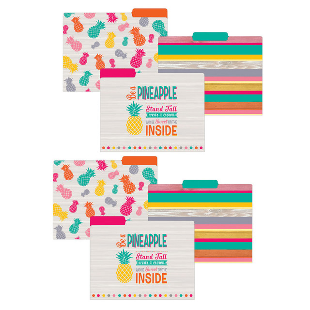 TEACHER CREATED RESOURCES Teacher Created Resources® Tropical Punch File Folders, Letter Size, 12 Per Pack, 2 Packs