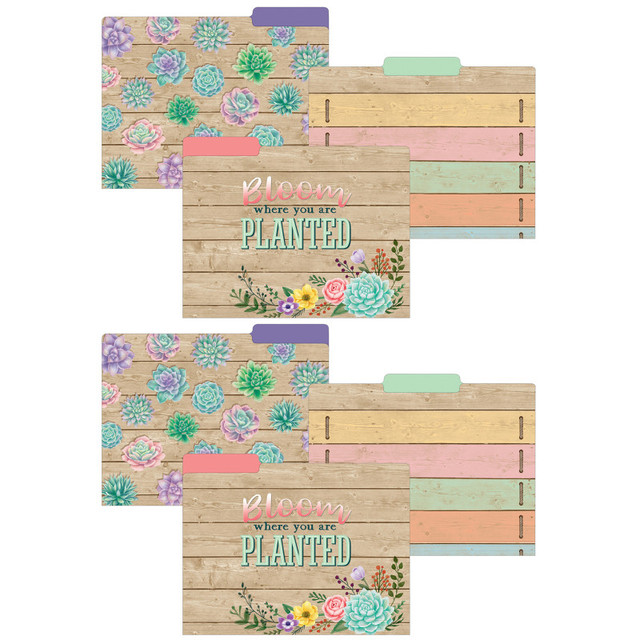 TEACHER CREATED RESOURCES Teacher Created Resources® Rustic Bloom File Folders, 2 Packs