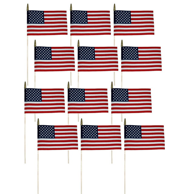 ANNIN & COMPANY Annin & Company Verona Brand U.S. Miniature Flag, 8" x 12", Pack of 12