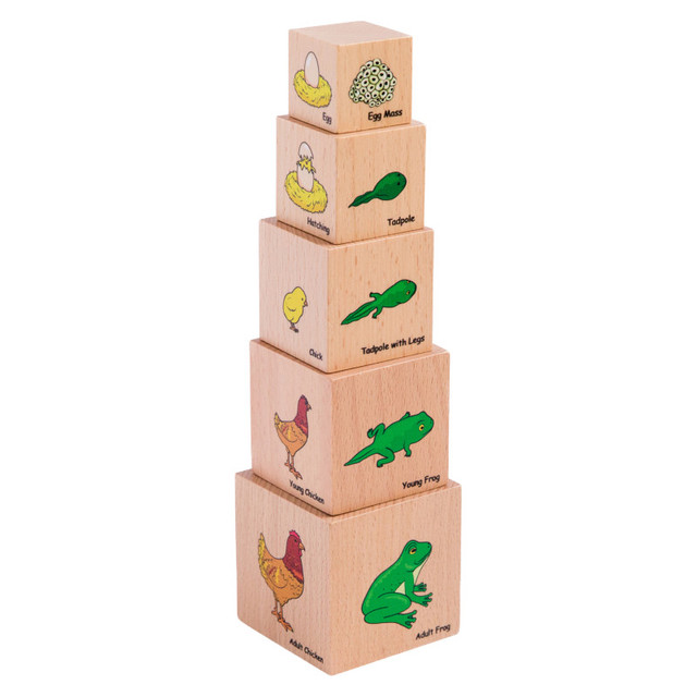 LEARNING ADVANTAGE The Freckled Frog Lifecycle Wooden Blocks - Set of 5 LEARNING ADVANTAGE The Freckled Frog Lifecycle Wooden Blocks - Set of 5