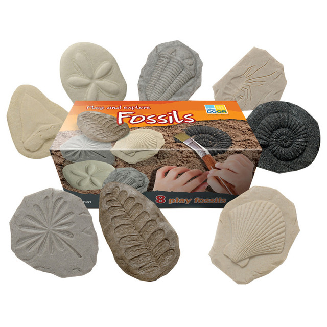 YELLOW DOOR US LLC Yellow Door Let's Investigate Fossil Stone, Pack of 8