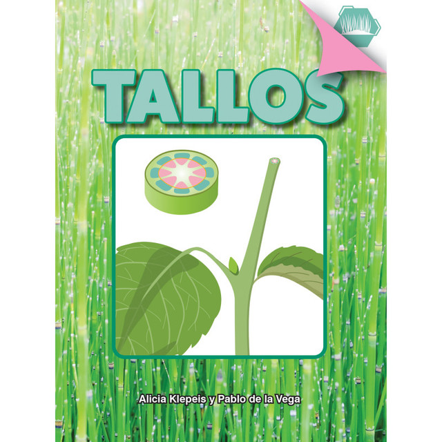 CARSON DELLOSA EDUCATION Discovery Library Tallos Book, Paperback