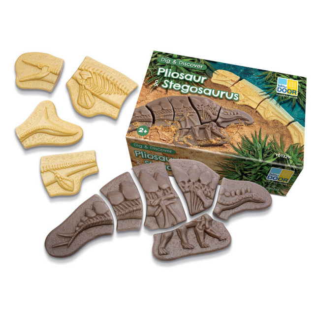 YELLOW DOOR US LLC Yellow Door Dig and Discover - Pliosaur & Stegosaurus