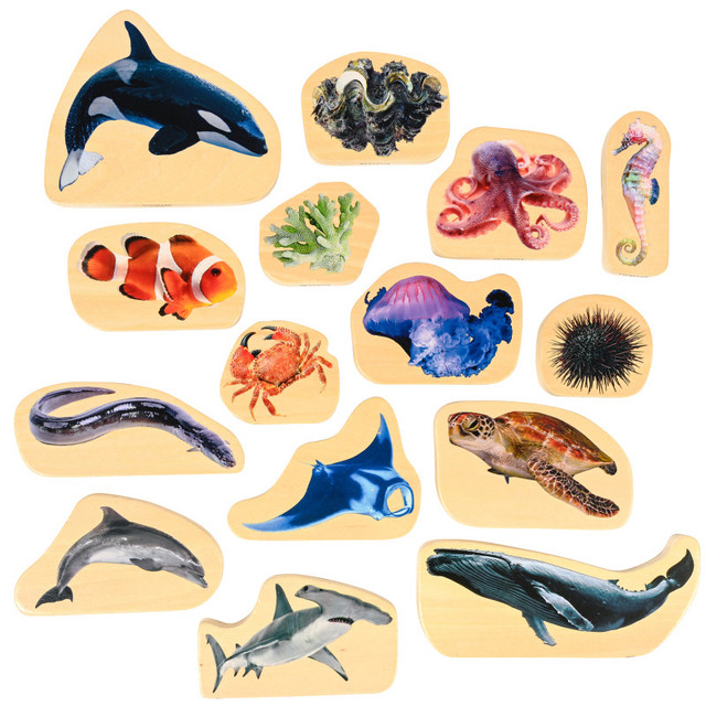 LEARNING ADVANTAGE TickiT® Wooden Sea Life Blocks - Set of 15