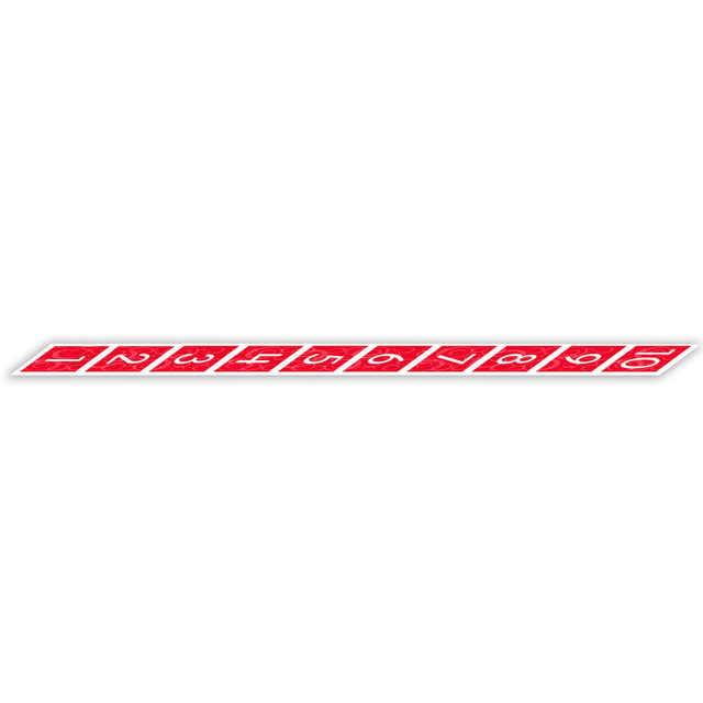 DIDAX Didax® Number Path Floor Mat