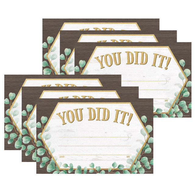 TEACHER CREATED RESOURCES Teacher Created Resources® Eucalyptus You Did It! Awards, 30 Per Pack, 6 Packs