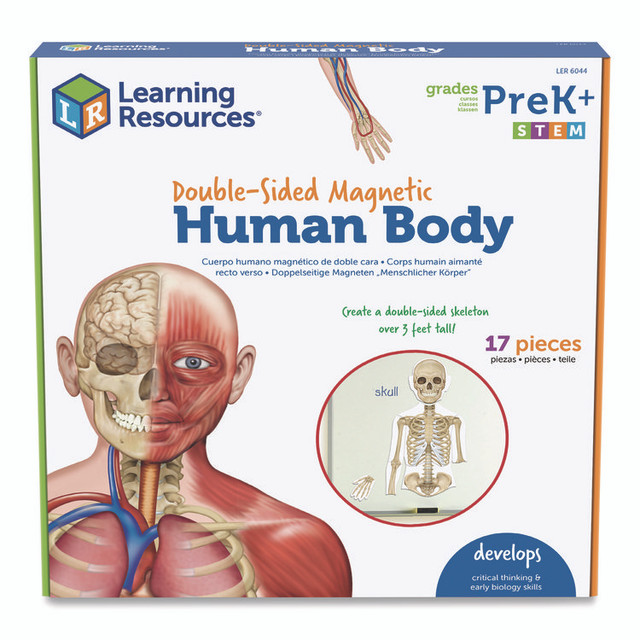 LEARNING RESOURCES LER6044 Double-Sided Magnetic Human Body, Grades K to 5, English/Spanish, Assorted Colors, 17 Pieces