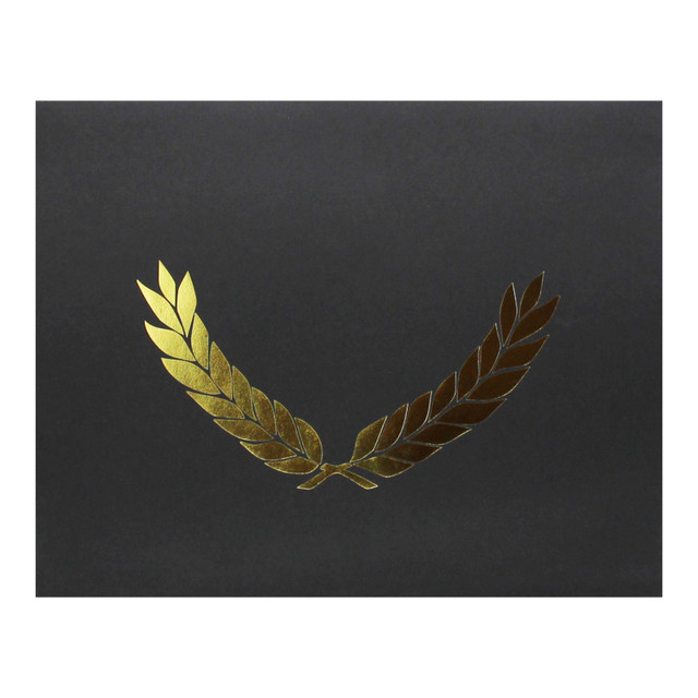 FLIPSIDE Hayes Publishing Gold Foil Stamped Black Certificate Folders, 10" x 13", Pack of 30