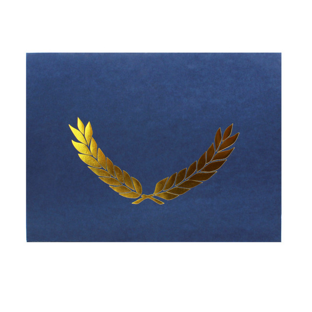 FLIPSIDE Hayes Publishing Embossed Certificate Folder, Blue, Pack of 30