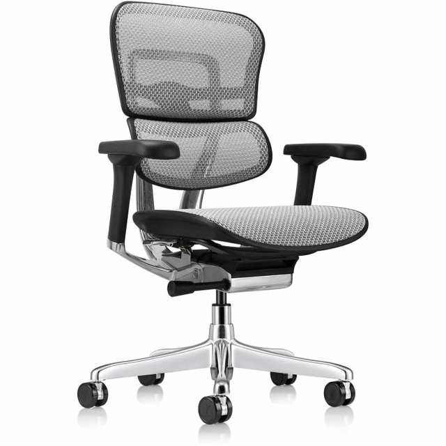 The Raynor Group, Inc Eurotech ME8ERGLOG2GY Eurotech ErgoHuman Gen2 Executive All-Mesh Chair