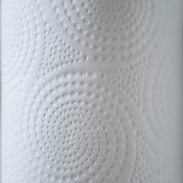 Genuine Joe 24085 Genuine Joe Kitchen Roll Flexible Size Towels