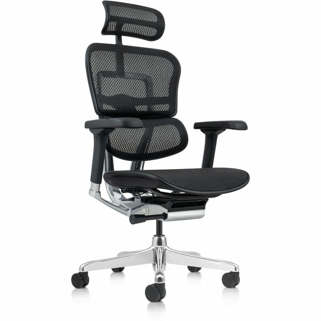 The Raynor Group, Inc Eurotech ME7ERGG2BK Eurotech ErgoHuman Gen2 Executive All-Mesh Chair