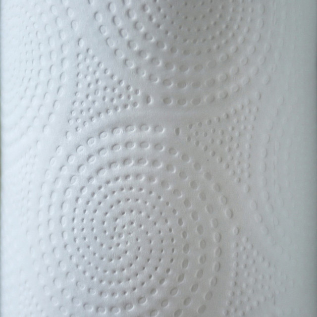 Genuine Joe 24080 Genuine Joe Kitchen Roll Flexible Size Towels