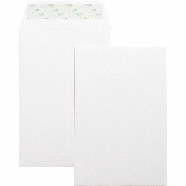 Business Source 42122 Business Source Self-Seal 6"x9" Catalog Envelopes
