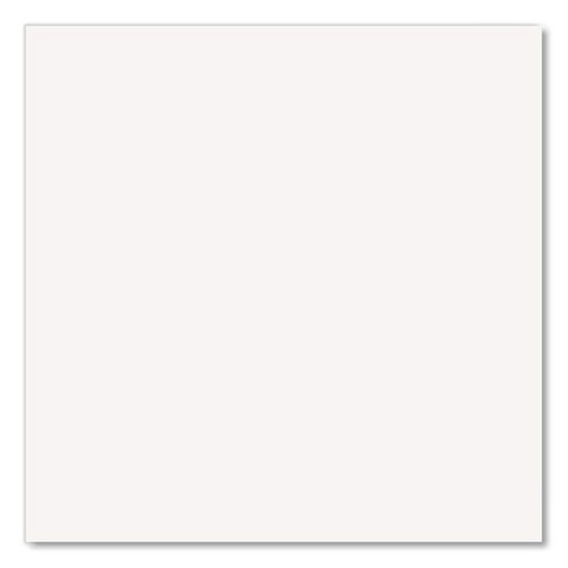 RUST-OLEUM CORPORATION V2190838 Hard Hat High Performance V2100 System Rust Preventive Enamel Spray Paint, Flat White, 15 oz. Aerosol Can, 6/Carton