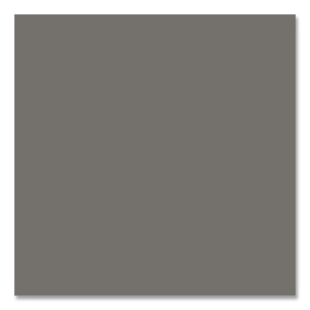 RUST-OLEUM CORPORATION V2188838 Hard Hat High Performance V2100 System Rust Preventive Enamel Spray Paint, Gloss Smoke Gray, 15 oz Aerosol Can, 6/Carton