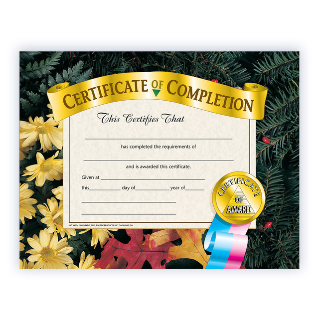 FLIPSIDE Hayes Publishing Certificate of Completion, 8.5" x 11", Pack of 30