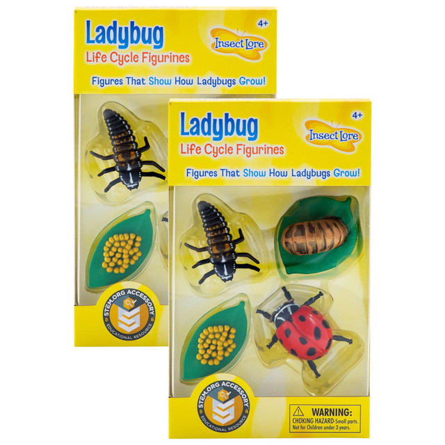 INSECT LORE Insect Lore Ladybug Life Cycle Stages, 4 Per Set, 2 Sets