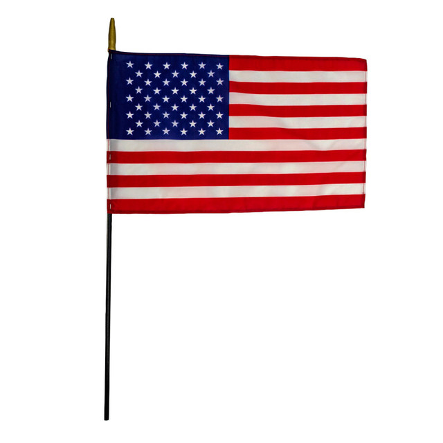 FLAGZONE LLC FlagZone Nylon U.S. Classroom Flag, 12" x 18"