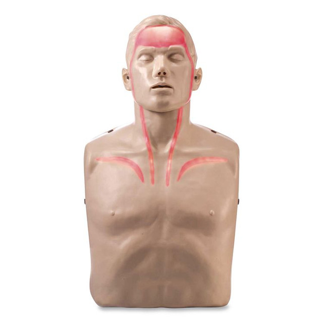 BRAYDEN IM13R04 LED CPR Manikins with Trolley Bag and Four Manikins
