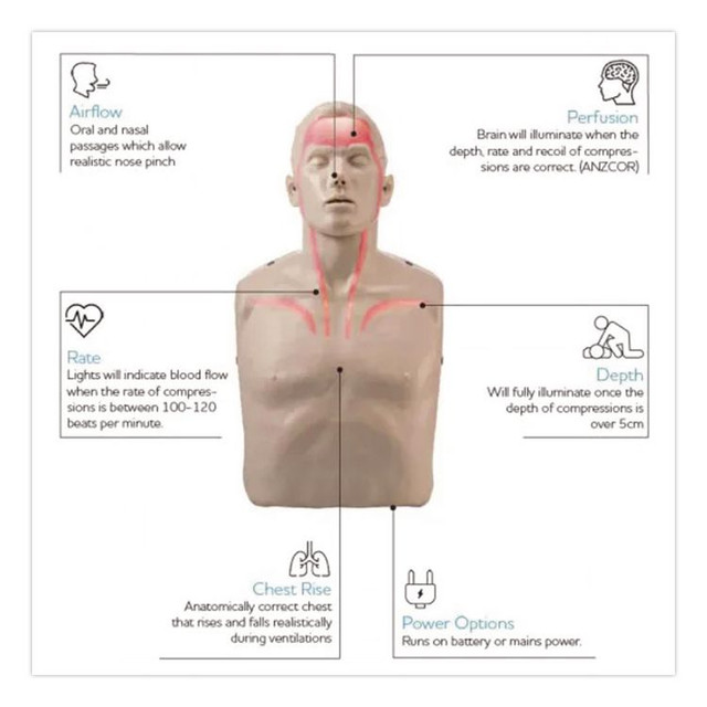 BRAYDEN IM13R Brayden LED CPR Manikin with Blood Flow Circulation (Red Lights)
