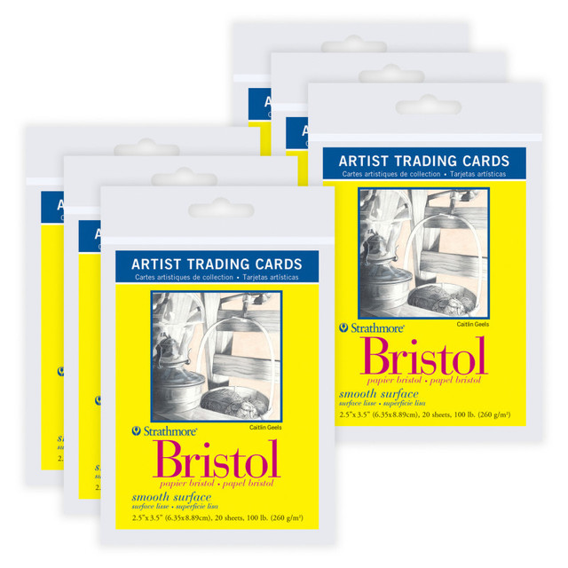 DIXON FINE ART Strathmore 300 Series Artist Trading Cards Bristol Paper Pack, Smooth Finish, 2.5x3.5 inch, 20 Sheets Per Pack, 6 Packs