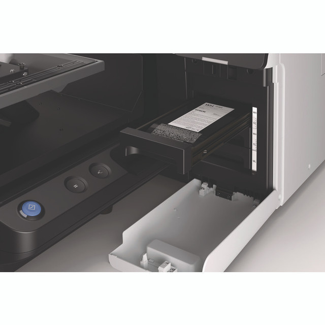 EPSON AMERICA, INC. T54KA20 T54KA20 (T54K) UltraChrome DG2 Ink, 800 mL, White