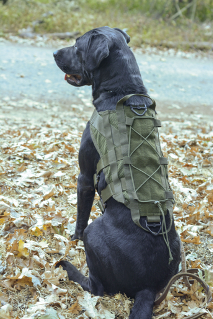 Voodoo Tactical 20-0232004000 Tracking And Field K9 Harness