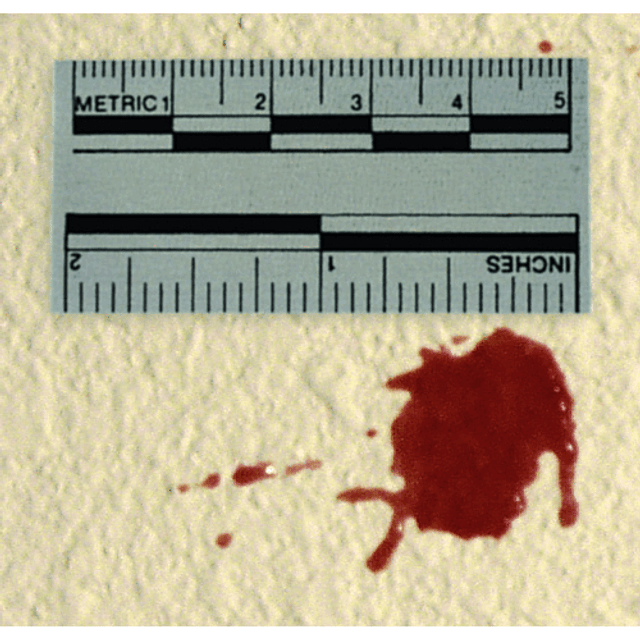 Lightning Powder 1005942 Adhesive Scales Lightning Powder 1005942 Adhesive Scales