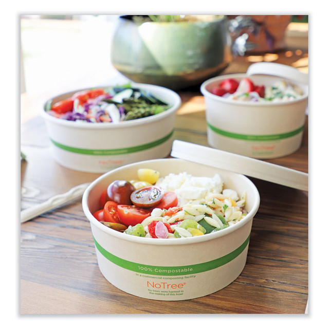 WORLD CENTRIC BONT24W No Tree Wide Paper Bowls, 24 oz, 5.9" Diameter x 2.4" h, Natural, Sugarcane, 300/Carton