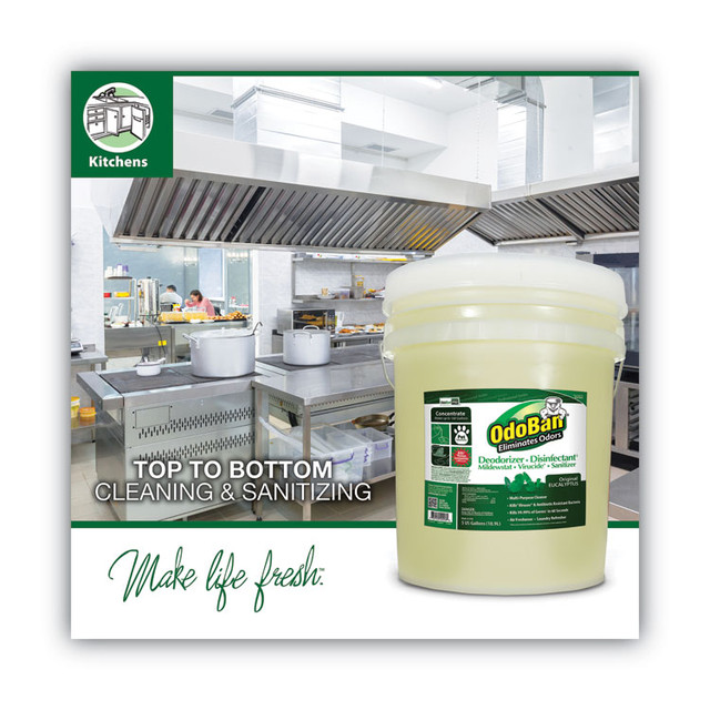 CLEAN CONTROL CORPORATION OdoBan® 911062-5G Concentrated Odor Eliminator and Disinfectant, Eucalyptus, 5 gal Pail