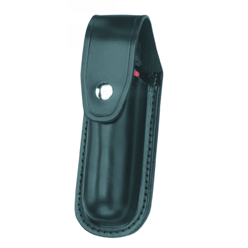 Gould & Goodrich H681-4CL Aerosol Case