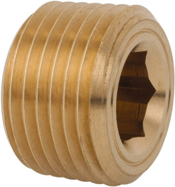 Legris 0205 17 00 Industrial Pipe Hollow Hex Plug: 3/8" Male Thread, MBSPT