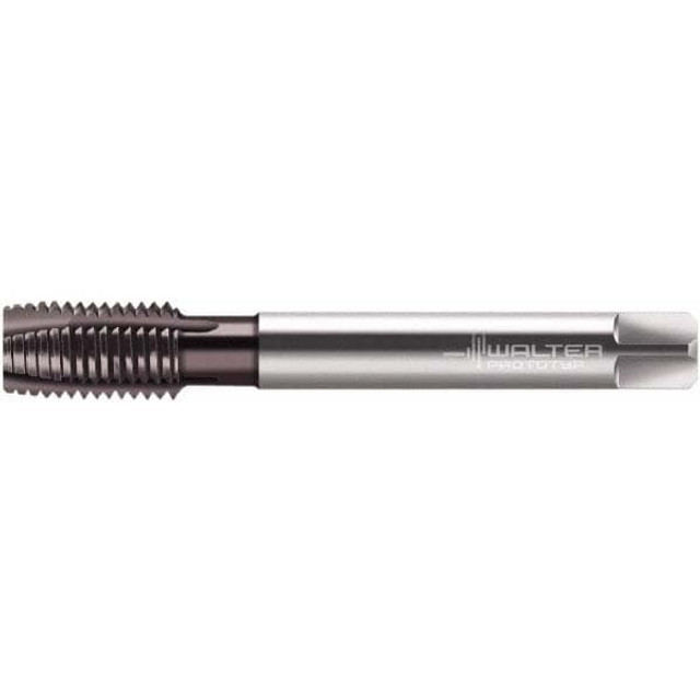 Walter-Prototyp 6432554 Spiral Point Tap: M12 x 1, Metric Fine, 4 Flutes, Plug, 6HX, Powdered Metal, Hardlube Finish