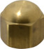 Parker 640F-4 Brass Flared Tube Cap: 1/4" Tube OD, 7/16-20 Thread, 45 ° Flared Angle