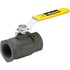 Parker XV502CS-20 Standard Manual Ball Valve: 1-1/4" Pipe