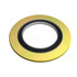 Sterling Seal & Supply 9KIR5Y400X6 Flange Gasket: For 5" Pipe, 6.13" ID, 8-1/2" OD, 0.175" Thick, 304 Stainless Steel