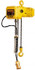 Harrington Hoist SNER005S-20 Electric Chain Hoist: