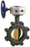 NIBCO NLG260E Manual Lug Butterfly Valve: 2-1/2" Pipe, Gear Handle