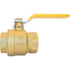 Control Devices BVP15P15-0LA 2-Way Manual Ball Valve: 1-1/2" Pipe, Full Port